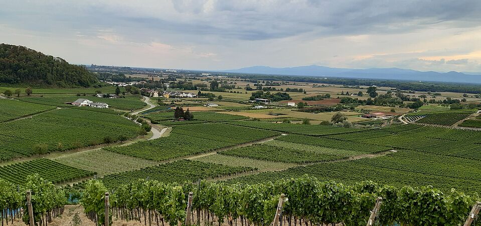 ADFC Mehrtagestour 2020 Rund um den Kaiserstuhl