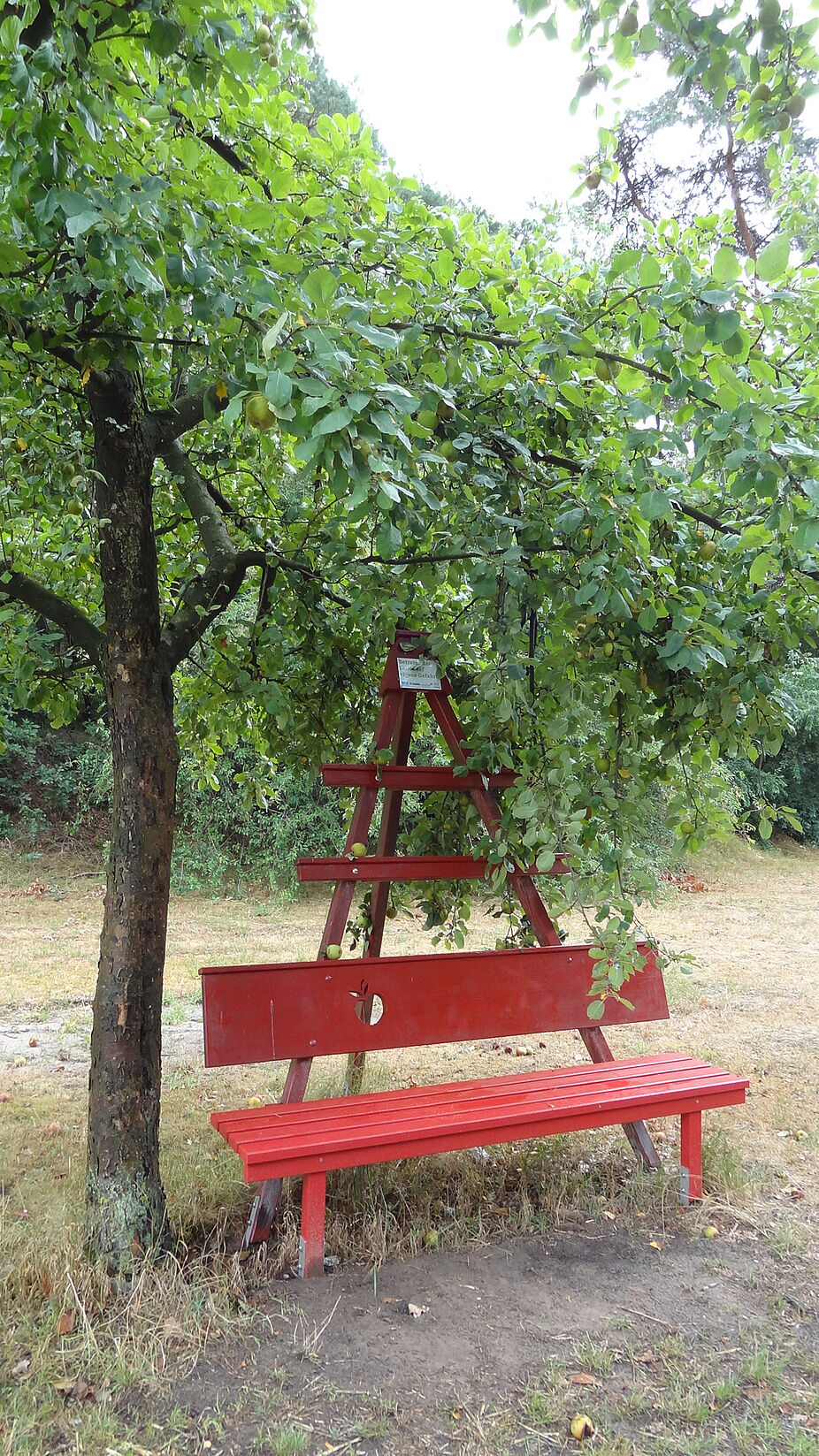 2019 Apfelbank Apfelbank