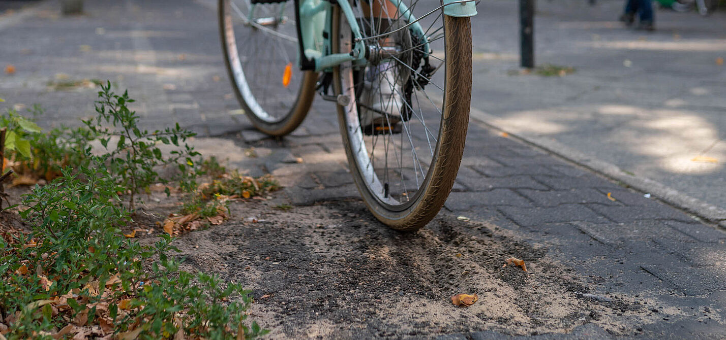 Radweg mit Schlagloch und Baumwurzeln