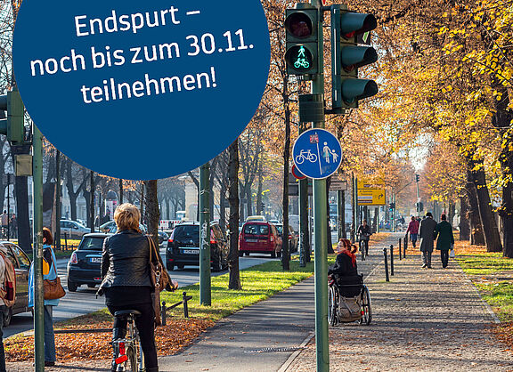 Nerbst herbstlichen Bäumen verläuft ein Radweg, auf dem eine Person fährt